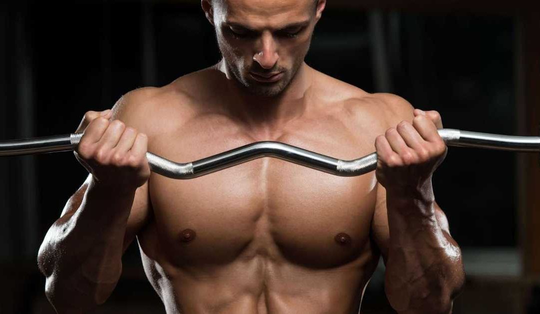 Treino com pesos para MMA - Boxe ou Artes Marciais