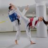 Puzzle Tatami 2cm 100x100cm - Superfície antiderrapante F, reversível Verde/Branco | Utilizações